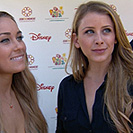 智能且具有自主学习能力的网站ddos